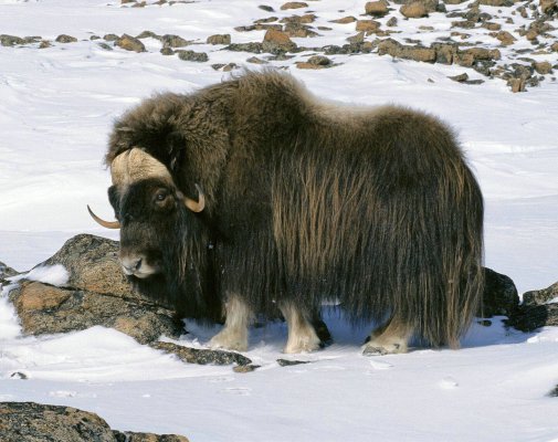 Реальная ссылка кракен