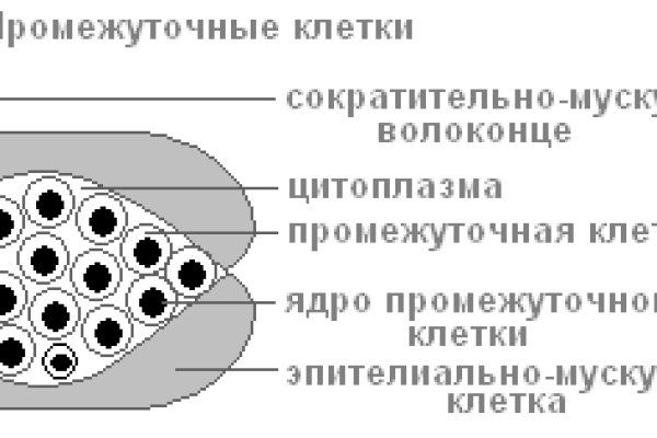 Правильная ссылка онион кракен